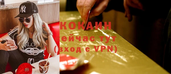 стафф Новодвинск