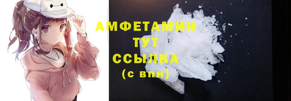 стафф Новодвинск