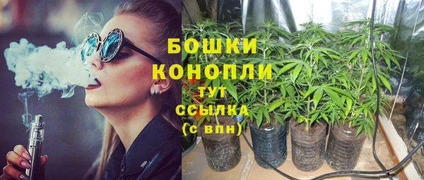 трава Новозыбков