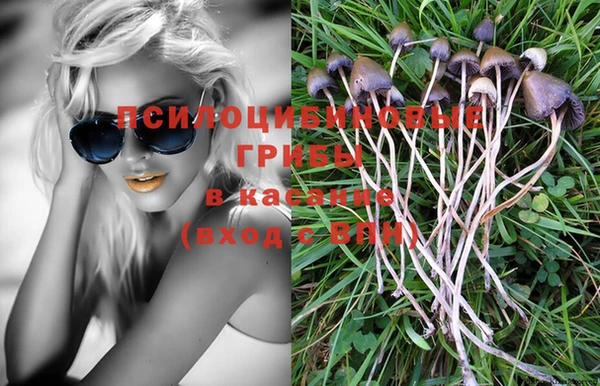 альфа пвп Нея