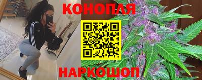 МДПВ Волжск