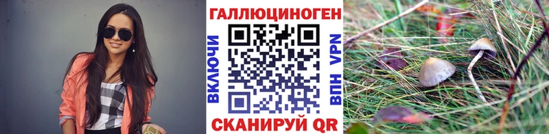 Псилоцибиновые грибы GOLDEN TEACHER MEGA Зеленогорск