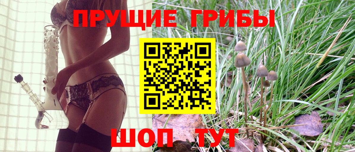 Псилоцибиновые грибы Psilocybe  закладки  Псилоцибиновые грибы MAGIC MUSHROOMS  Зеленогорск 