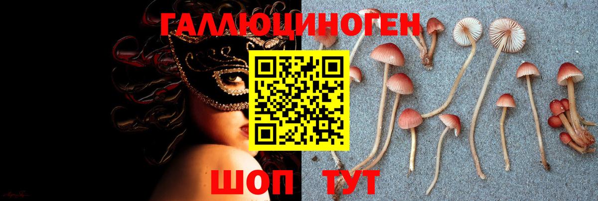 Псилоцибиновые грибы Cubensis Зеленогорск