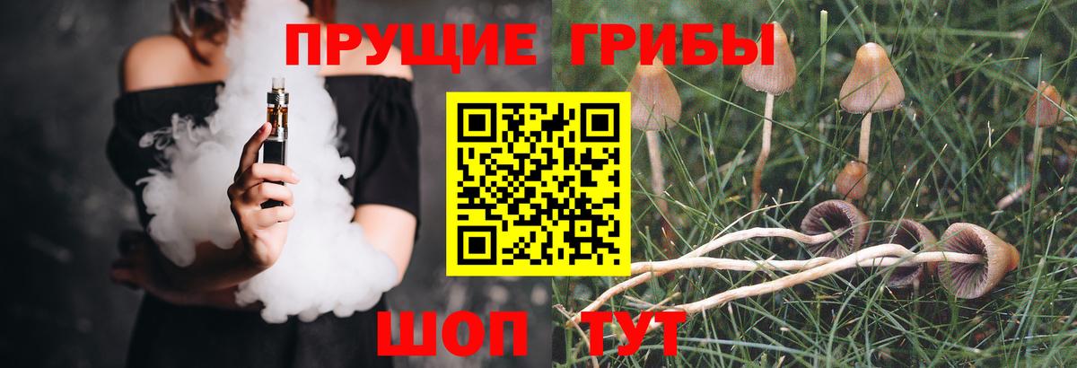 Зеленогорск  Псилоцибиновые грибы мицелий  Вход с VPN 