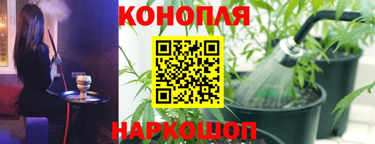 Бошки марихуана Ganja  Бошки Шишки OG Kush  Зеленогорск  Шишки марихуана планчик 